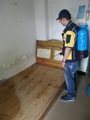 东莞杀臭虫价格,除四害公司